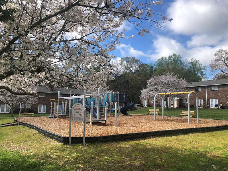 Star-C Springview Community Playground